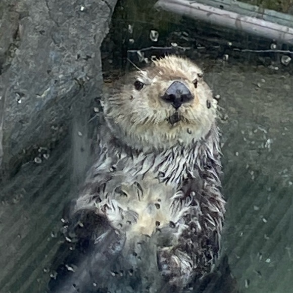 Meet your Posher, Jimmy - Picture 1 of 1